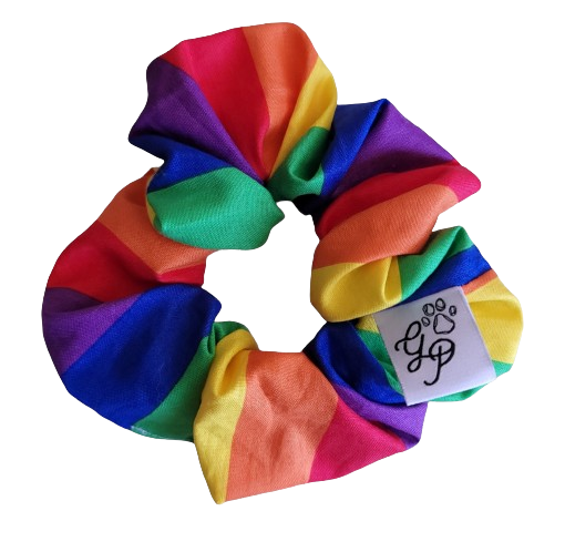 *TWO FOR $15* Pride Scrunchie