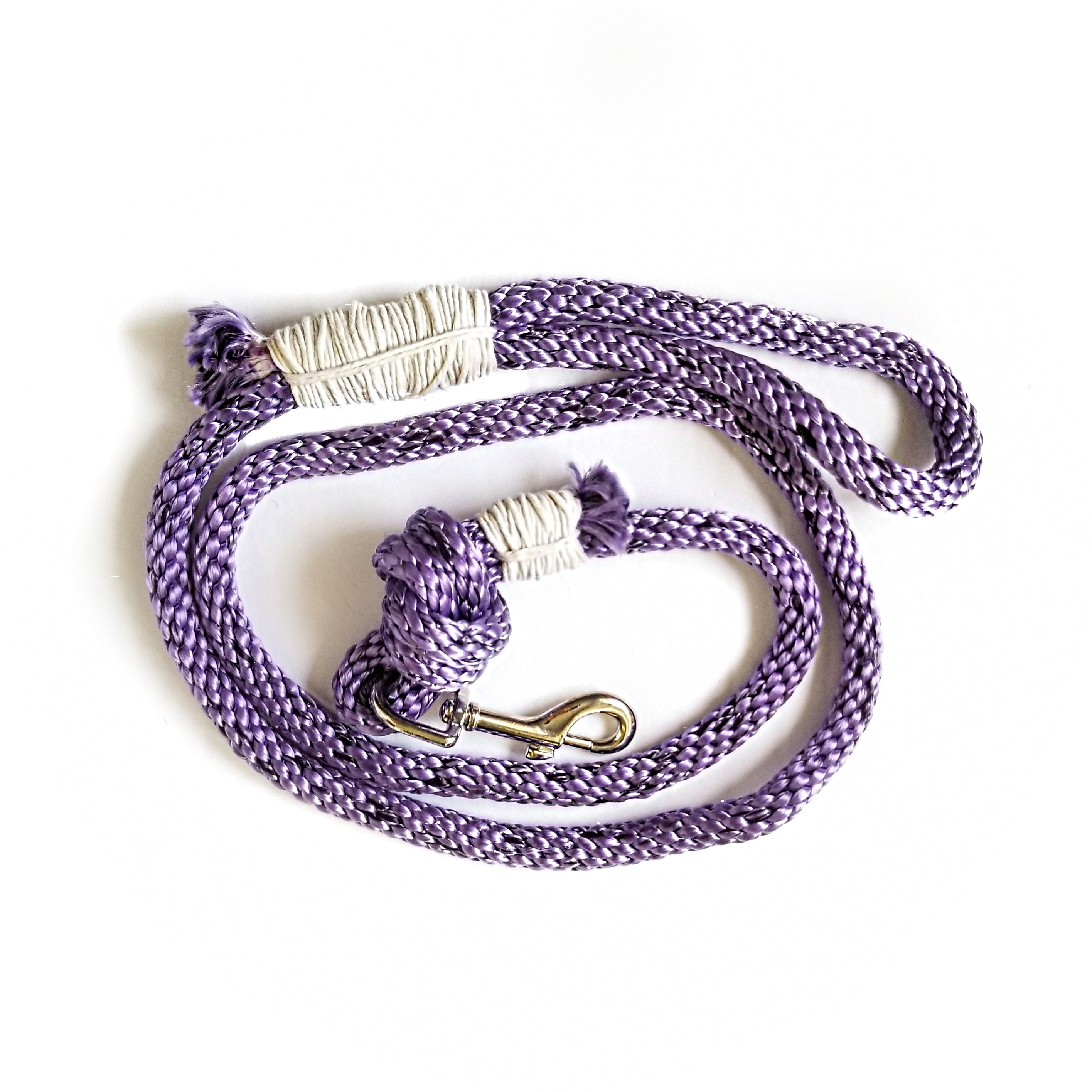 Braided Purple Leash